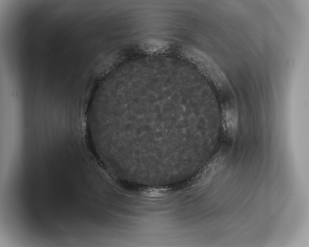 X0000101450664200807211314