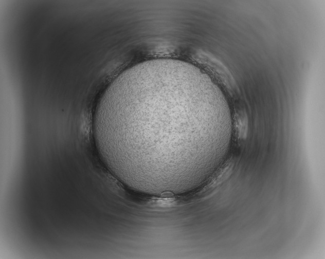 X0000101450665200807211314