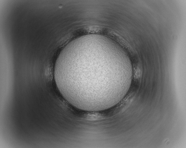 X0000101450666200807211314