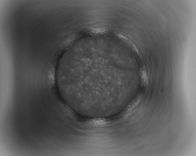 X0000101450668200807211314