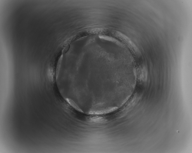 X0000101450669200807211314