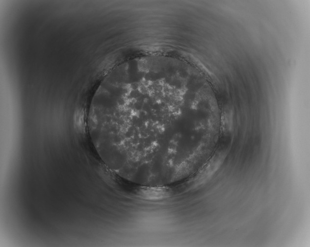 X0000101450671200807211314