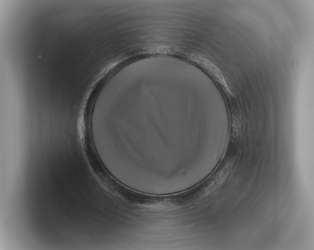 X0000101450674200807211313