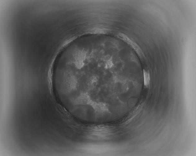 X0000101450675200807211313