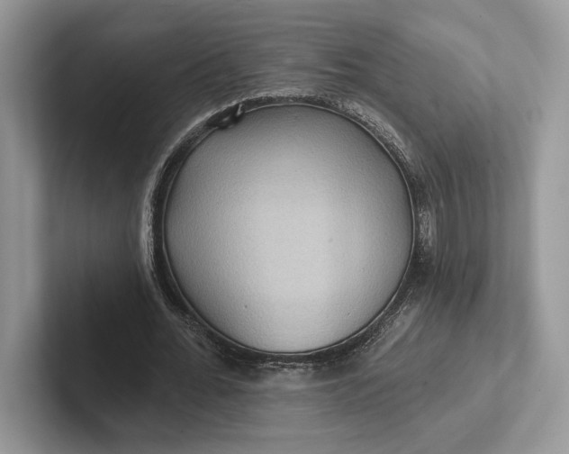 X0000101450676200807211313