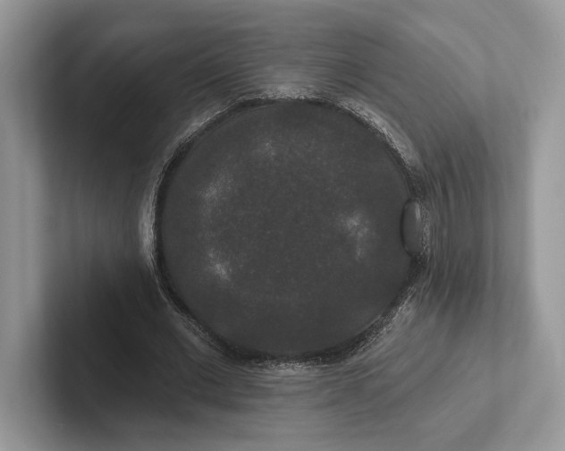 X0000101450677200807211313