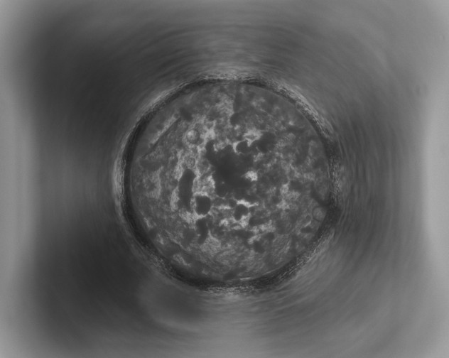 X0000101450679200807211313