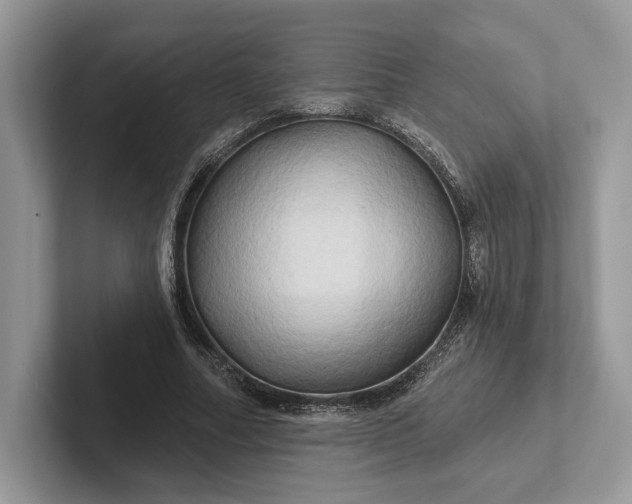 X0000101450682200807211313