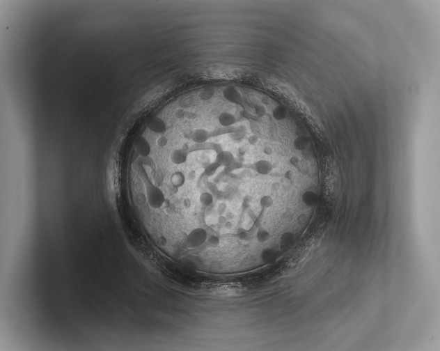 X0000101450683200807211313