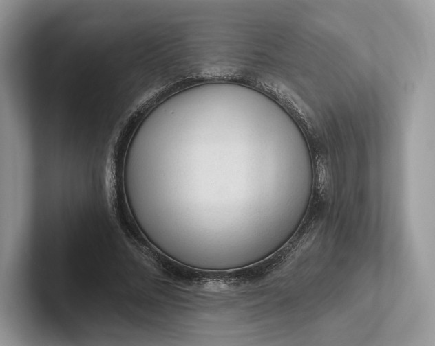 X0000101450684200807211313