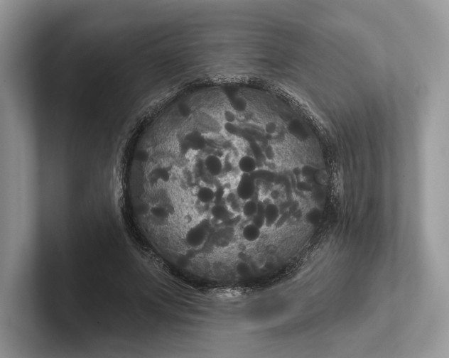 X0000101450687200807211313