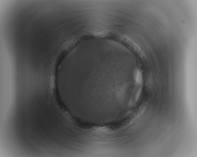 X0000101450689200807211313