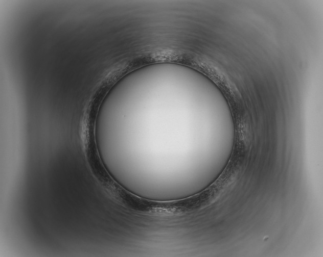 X0000101450690200807211313