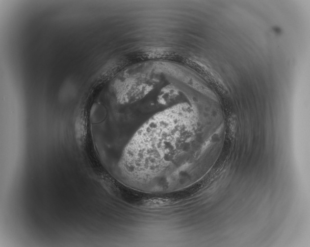 X0000101450691200807211313