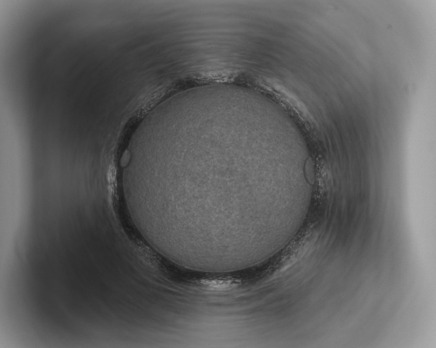 X0000101450693200807211313