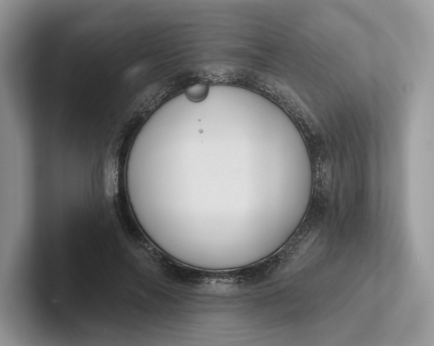 X0000101450694200807211313