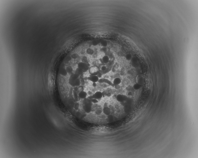 X0000101450695200807211313