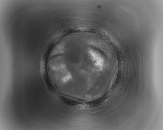 X0000101450696200807211313