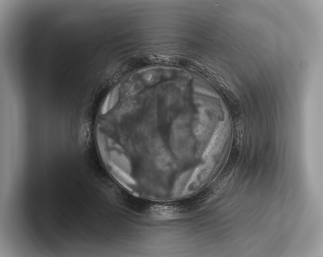 X0000101450699200807211313