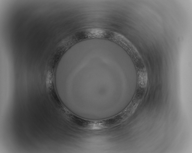 X0000101450701200807211313