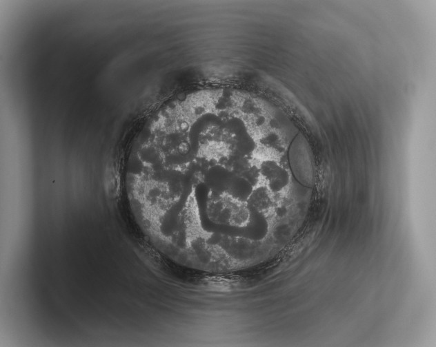 X0000101450703200807211313