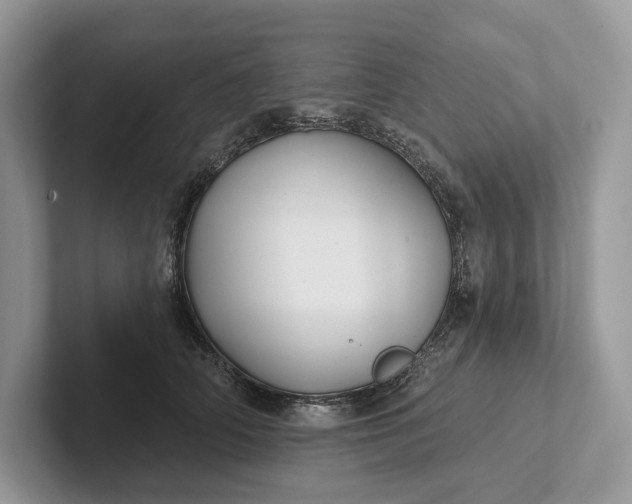 X0000101450706200807211313