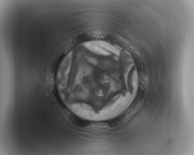 X0000101450707200807211313