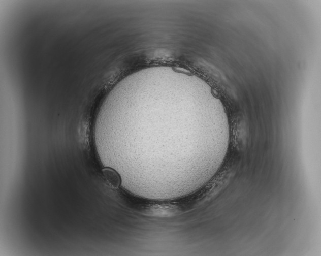 X0000101450708200807211313