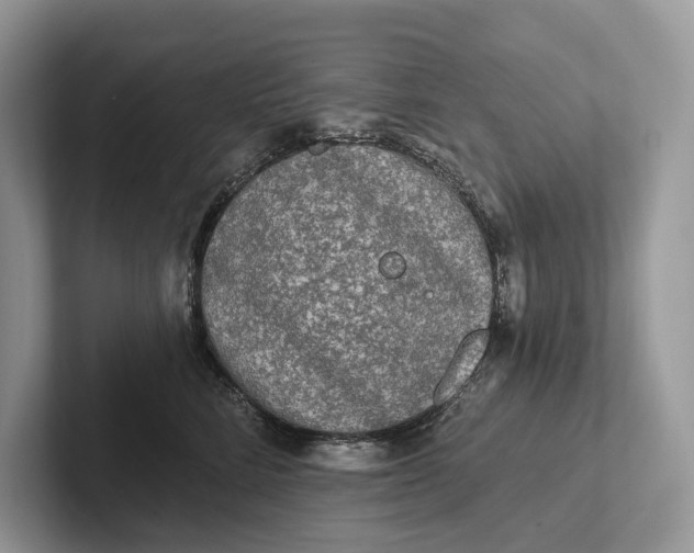 X0000101450712200807211313