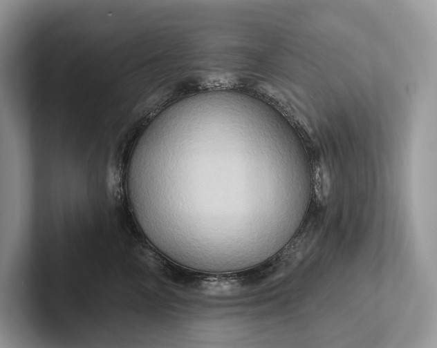 X0000101450714200807211313