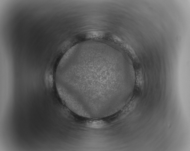 X0000101450716200807211313