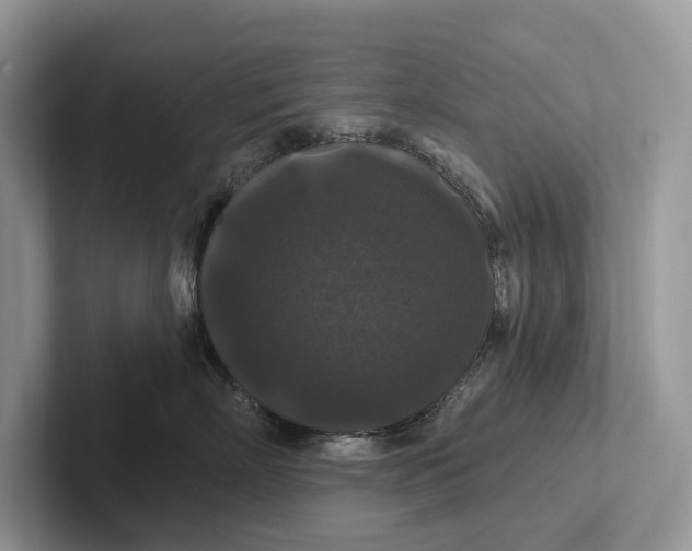 X0000101450718200807211313