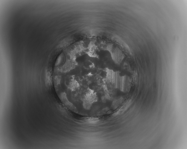 X0000101450719200807211313