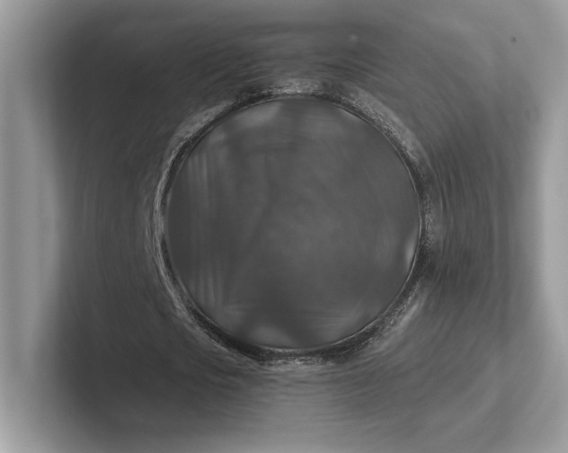 X0000101450721200807211312