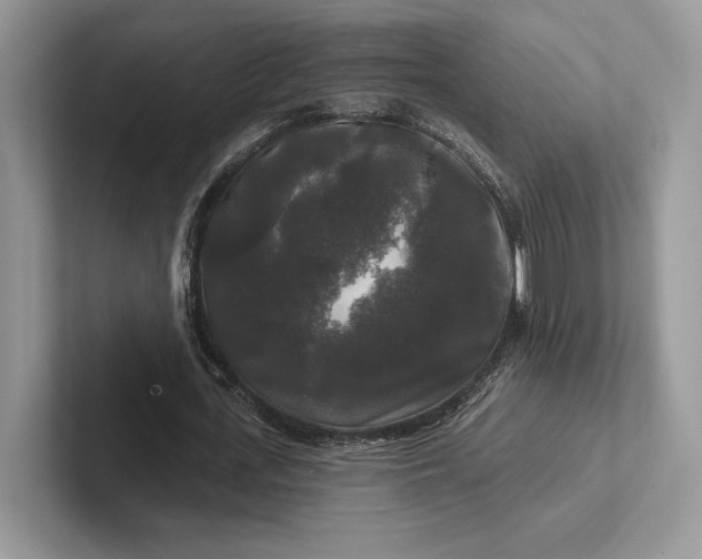 X0000101450723200807211312