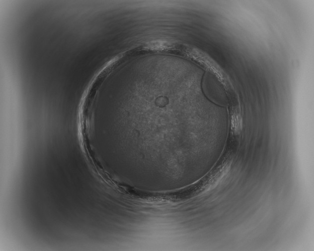 X0000101450724200807211312