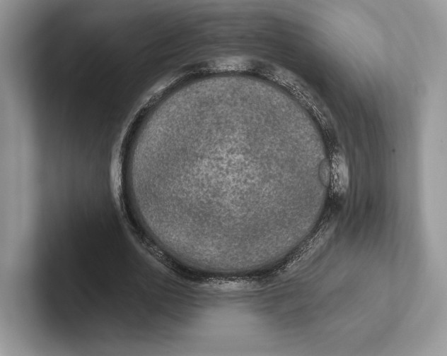 X0000101450726200807211312