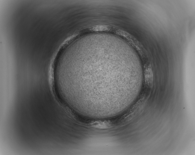 X0000101450727200807211312