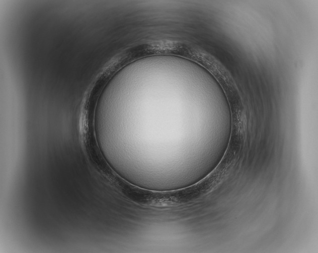 X0000101450731200807211312