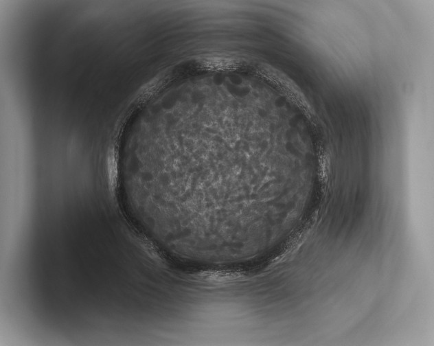 X0000101450733200807211312