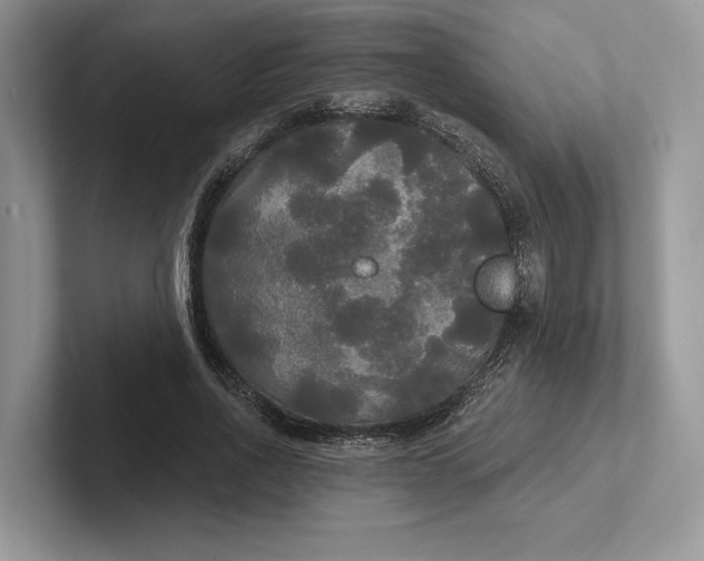 X0000101450734200807211312