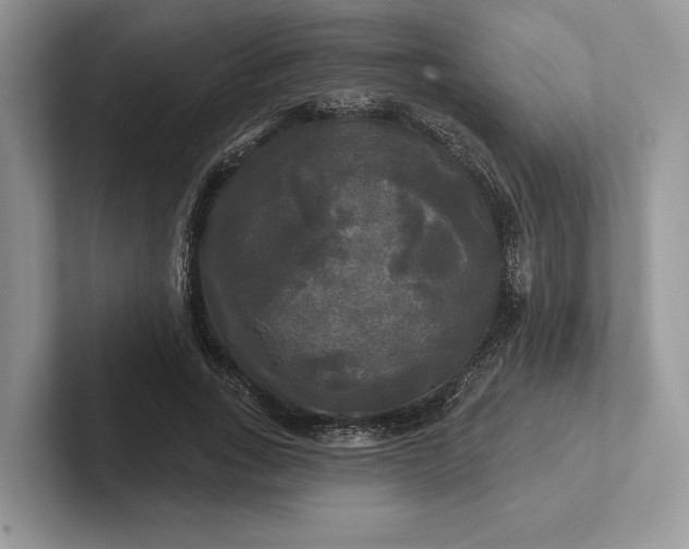 X0000101450735200807211312