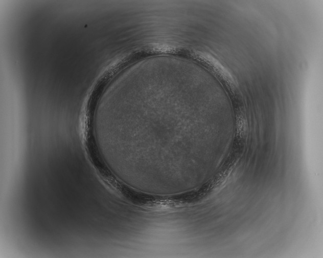 X0000101450736200807211312