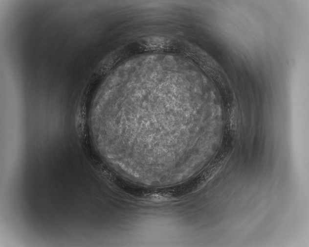 X0000101450737200807211312