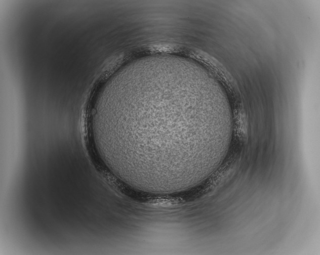 X0000101450738200807211312