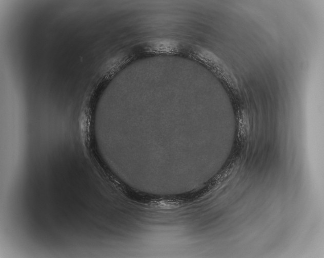 X0000101450739200807211312