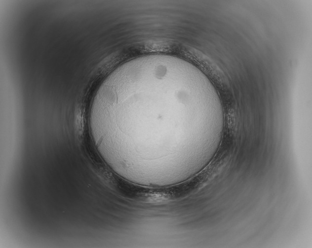 X0000101450741200807211312