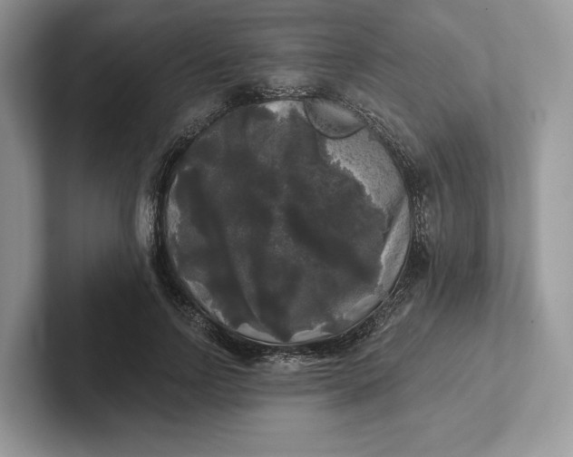 X0000101450742200807211312