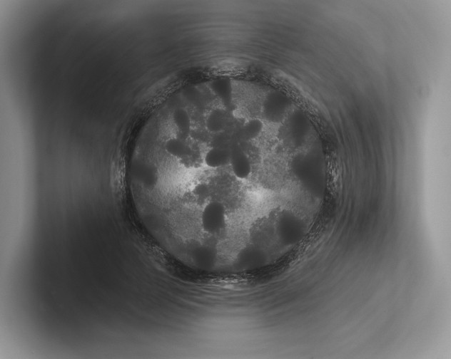 X0000101450745200807211312