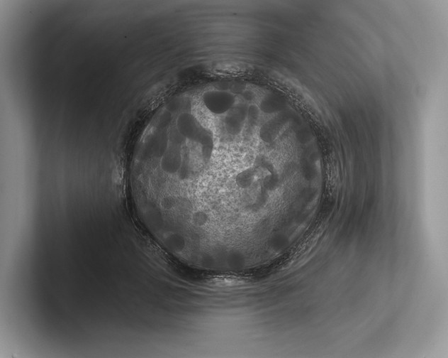 X0000101450749200807211312